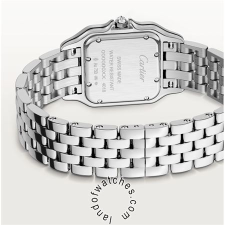 Buy CARTIER CRWJPN0007 Watches | Original