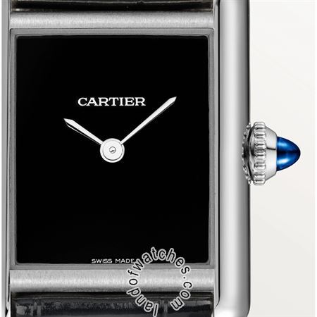 Buy CARTIER CRWSTA0071 Watches | Original