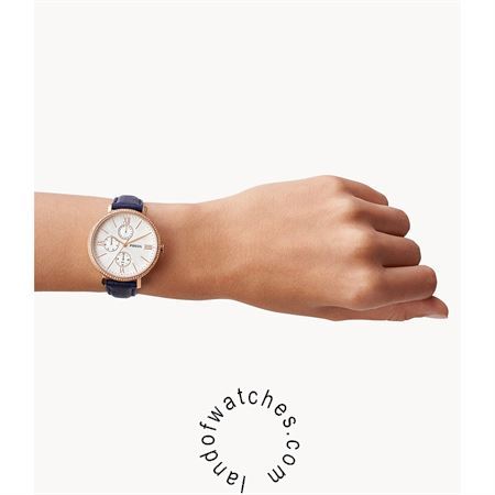 Buy Women's FOSSIL ES5096 Classic Watches | Original