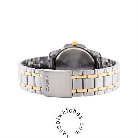 Buy Women's CASIO LTP-1314SG-1AVDF Classic Watches | Original