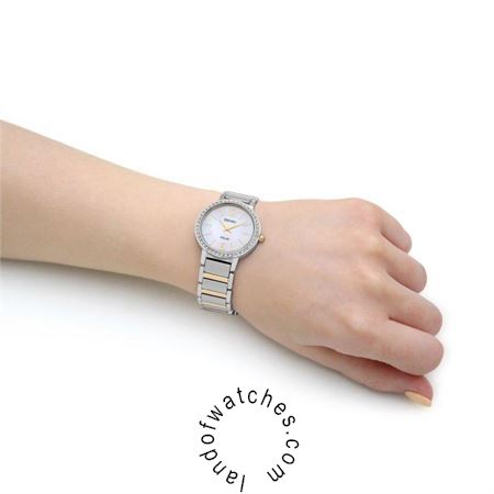 Buy Women's SEIKO SUP469P1 Fashion Watches | Original