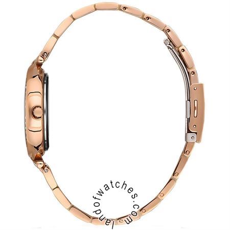 Buy Women's David Guner DG-8255LA-C1 Fashion Watches | Original