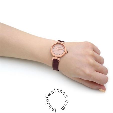 Buy Women's SEIKO SRZ548P1 Classic Fashion Watches | Original