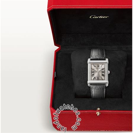 Buy CARTIER CRWGTA0074 Watches | Original