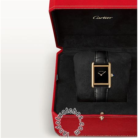 Buy CARTIER CRWGTA0091 Watches | Original