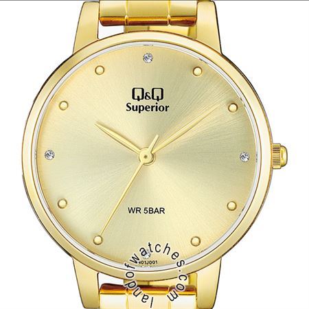 Buy Women's Q&Q S401J001Y Classic Watches | Original