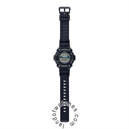 Buy CASIO WS-1300H-1AV Watches | Original