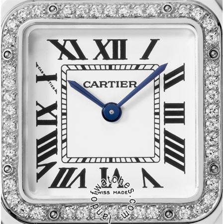 Buy CARTIER CRWJPN0007 Watches | Original