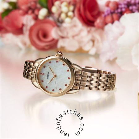 Buy Women's SEIKO SUR564P1 Fashion Watches | Original