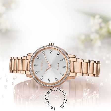 Buy Women's CITIZEN FE7043-55A Classic Fashion Watches | Original