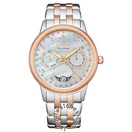 Watches Gender: Women's,Movement: Quartz,Brand Origin: Japan,Classic style,Date Indicator,Luminous