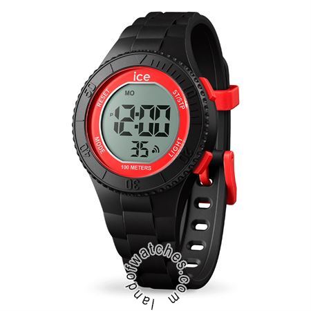 Buy ICE WATCH 21007 Watches | Original