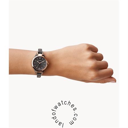 Buy Women's FOSSIL ES3077 Classic Watches | Original