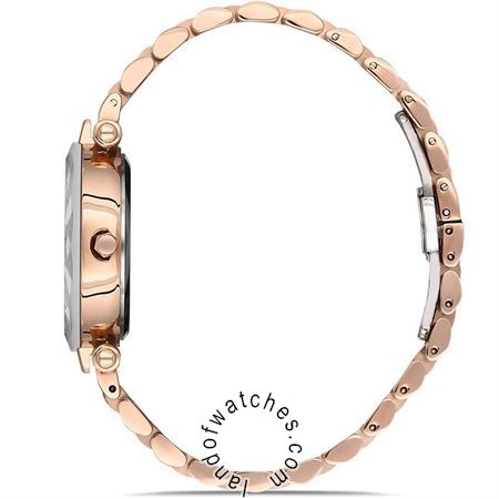 Buy Women's David Guner DG-8183LA-C1 Classic Watches | Original