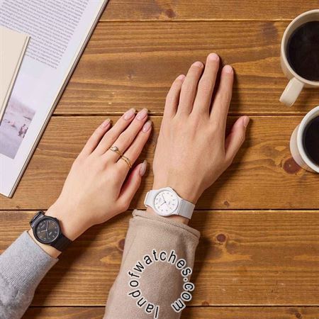 Buy CASIO MQ-24B-7BDF Watches | Original