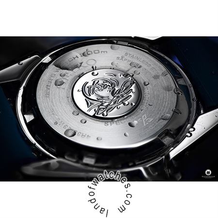 Buy Men's SEIKO SRPF79K1 Sport Watches | Original