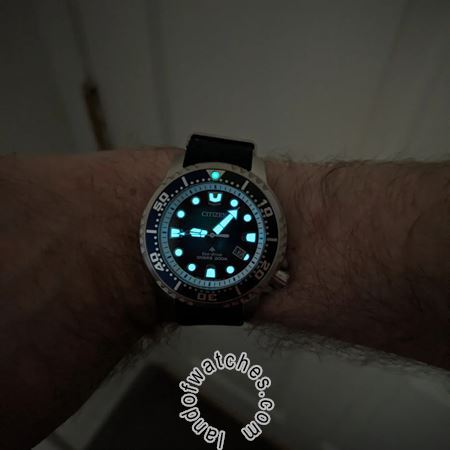 Buy Men's CITIZEN BN0166-01L Sport Watches | Original