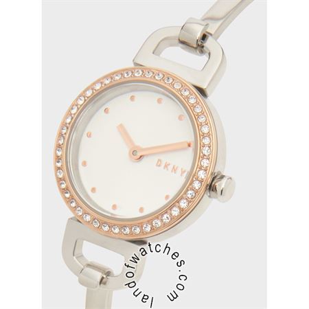 Buy Women's DKNY NY2953 Classic Fashion Watches | Original