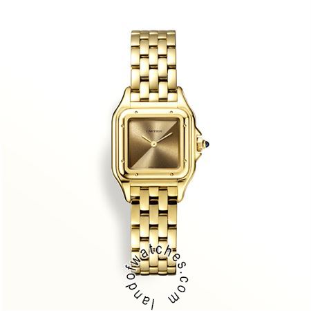 Buy CARTIER CRWGPN0031 Watches | Original