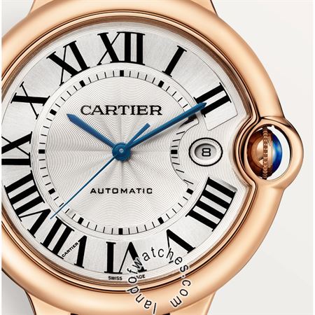 Buy CARTIER CRWGBB0030 Watches | Original