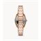  Women's FOSSIL ES4898 Classic Watches