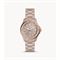  Women's FOSSIL CE1111 Classic Watches