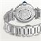  CARTIER CRWSPA0026 Watches