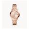 Women's FOSSIL ES4748 Classic Watches