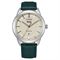 Men's CITIZEN AW0090-11Z Classic Watches