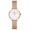  Women's DANIEL WELLINGTON DW00100447 Classic Watches