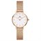  Women's DANIEL WELLINGTON DW00100447 Classic Watches
