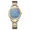  Women's CITIZEN EW2594-84Y Classic Watches