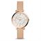  Women's FOSSIL ES4352 Classic Watches