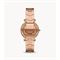  FOSSIL LE1147SET Watches