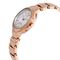  Women's CITIZEN EC1173-87D Classic Watches