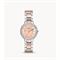  Women's FOSSIL ES3405 Classic Fashion Watches