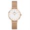  Women's DANIEL WELLINGTON DW00100219 Classic Watches