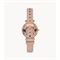  Women's FOSSIL ES4699 Watches