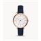  Women's FOSSIL ES3843 Classic Watches