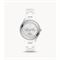  Women's FOSSIL CE1113 Classic Watches