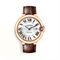  CARTIER CRWGBB0030 Watches
