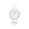  Women's DANIEL WELLINGTON DW00100313 Classic Watches