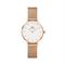  Women's DANIEL WELLINGTON DW00100219 Classic Watches