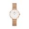  Women's DANIEL WELLINGTON DW00100219 Classic Watches