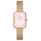  DANIEL WELLINGTON DW00100510 Watches