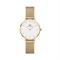  Women's DANIEL WELLINGTON DW00100350 Classic Watches