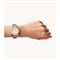  Women's FOSSIL ES3466 Fashion Watches