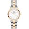  Women's DANIEL WELLINGTON DW00100359 Classic Watches