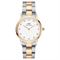 ساعة معصم نسائیه دانيال ولينغتون(DANIEL WELLINGTON) DW00100359