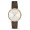  Women's MICHAEL KORS MK2857 Watches